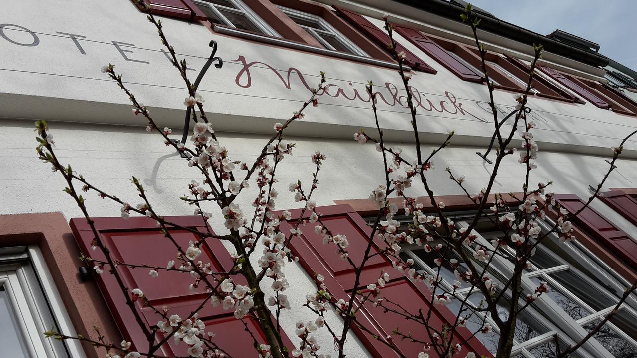 Hotel Mainblick Garni Marktheidenfeld Dış mekan fotoğraf